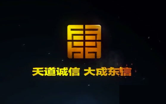 東信國際房地產(chǎn)項目宣傳片